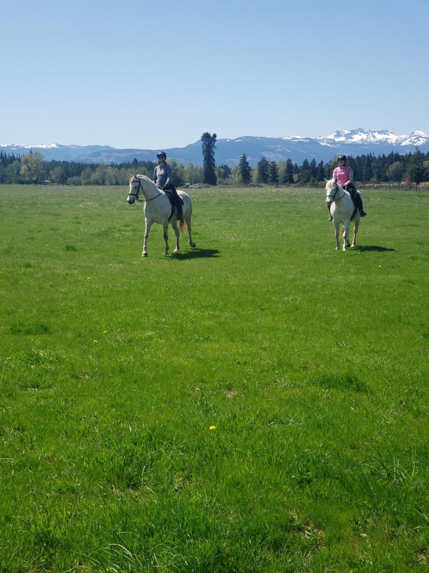 Paradise Acres Ranch Nanoose Bay Exterior photo